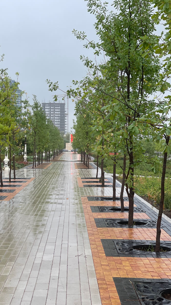 Приствольная решетка для дерева ZKING CRUST 1.2х1.2м Черная в Камышине фото